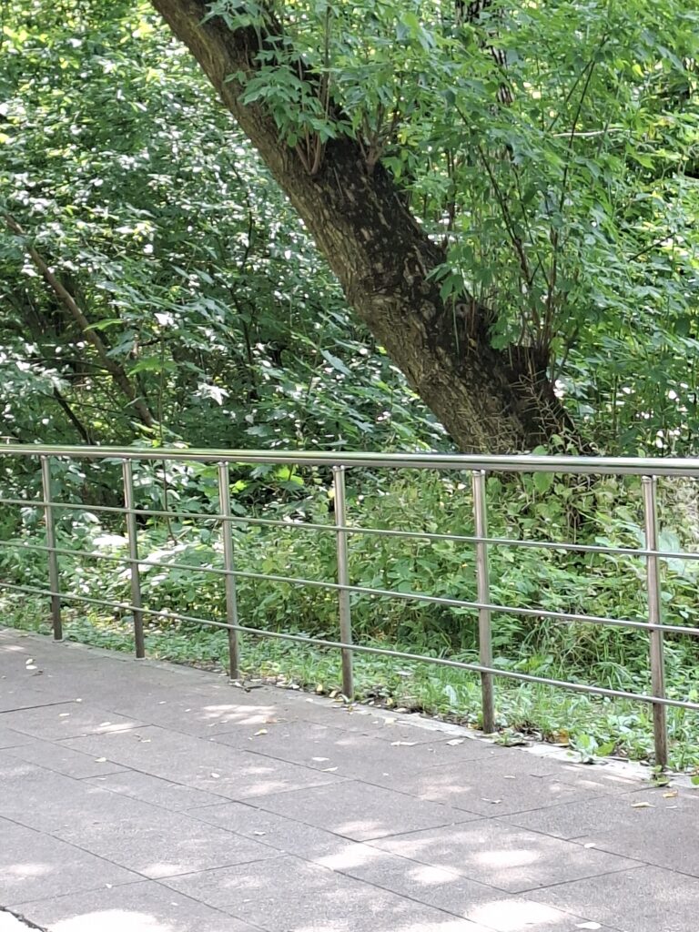 парк